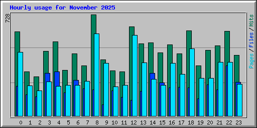Hourly usage for November 2025