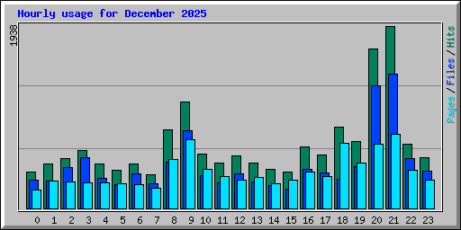 Hourly usage for December 2025