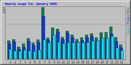 Hourly usage for January 2026