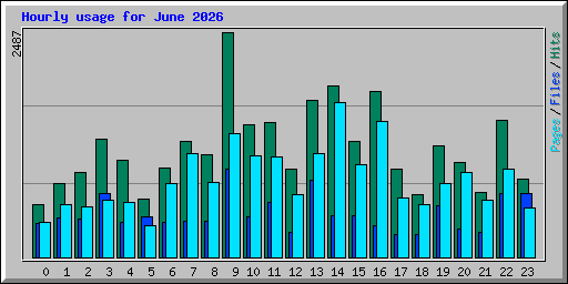 Hourly usage for June 2026