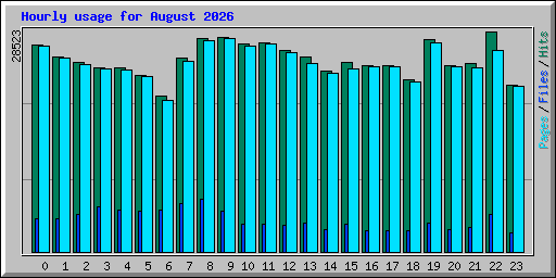 Hourly usage for August 2026